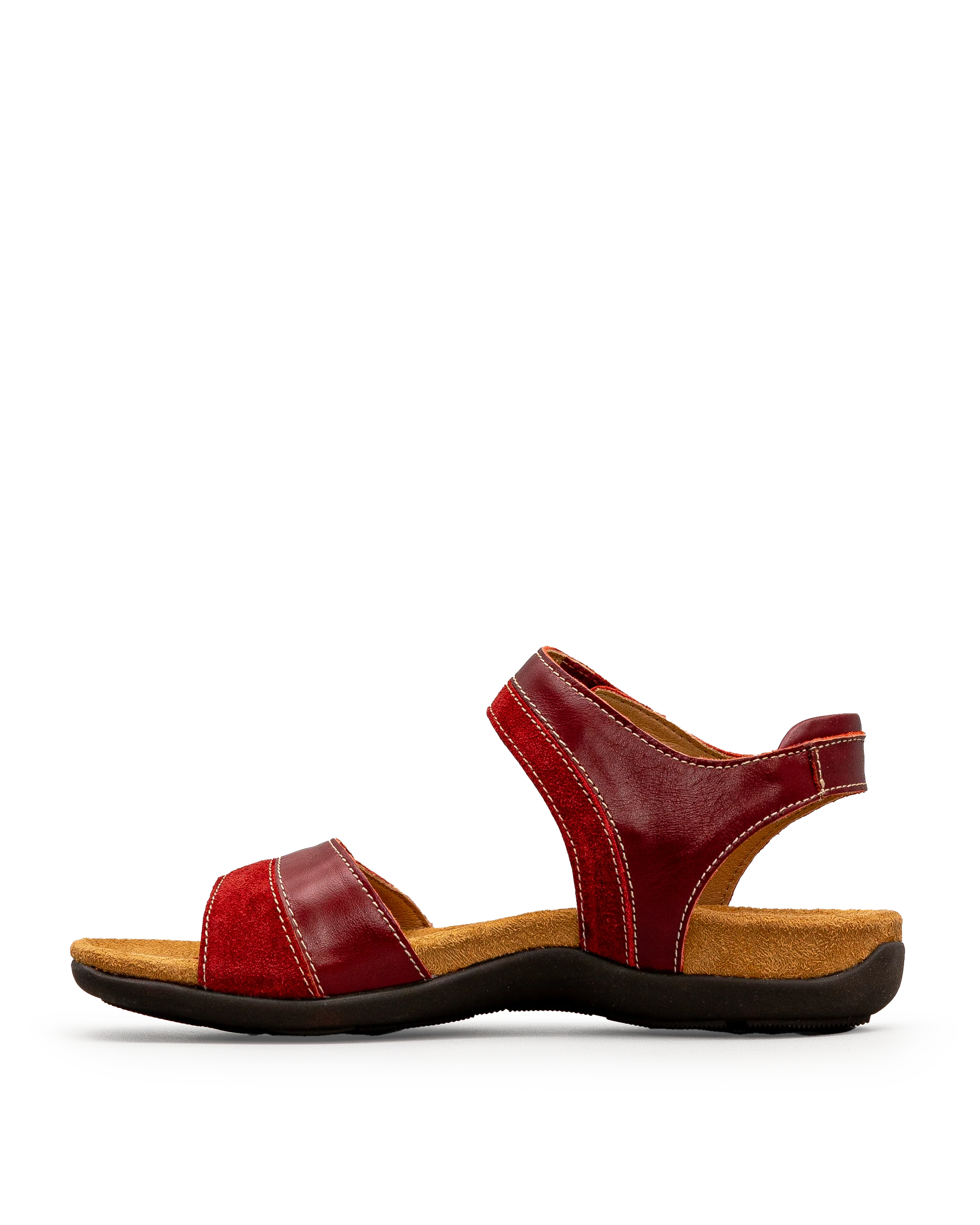 Dalia 02  - Bordeau - #18A-423 - Image 3
