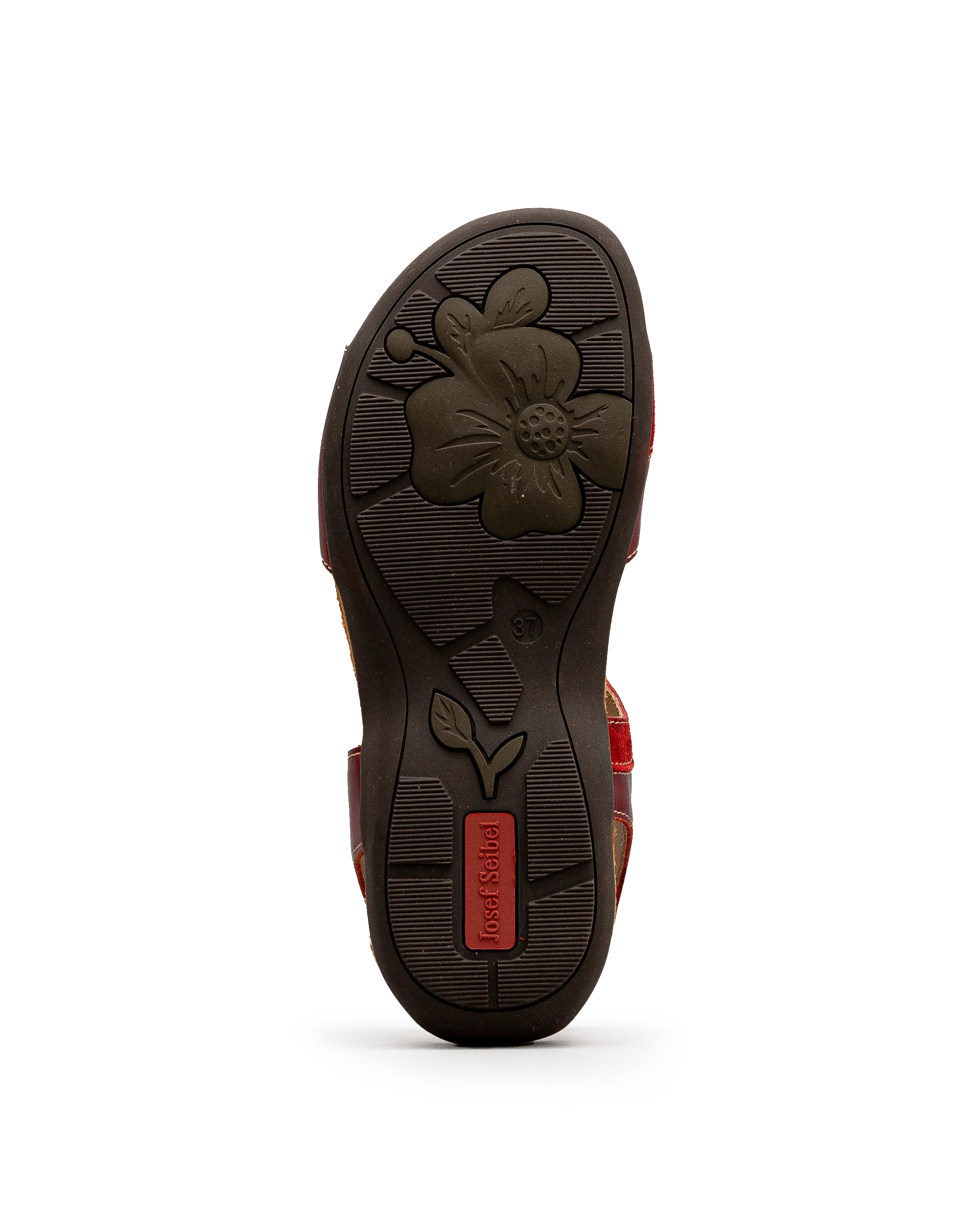 Dalia 02  - Bordeau - #18A-423 - Image 6