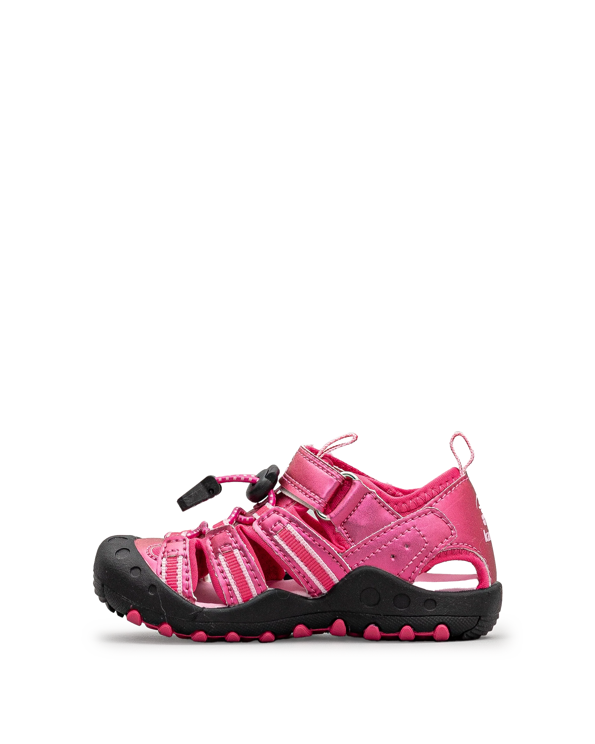 Crab shine - Fushia - #68B-403 - Image 3