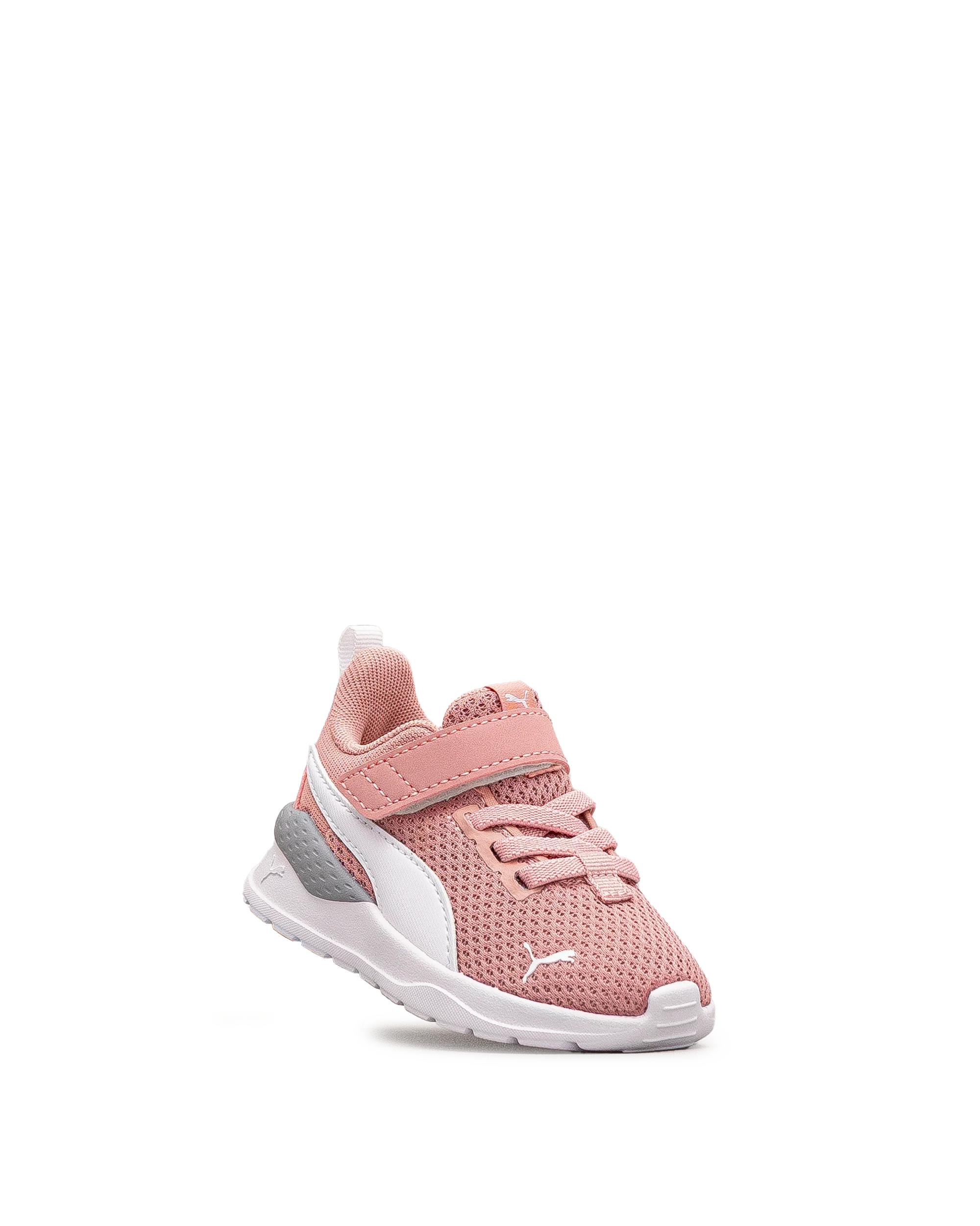 Anzarun lite td - Blanc&rose - #43E-19