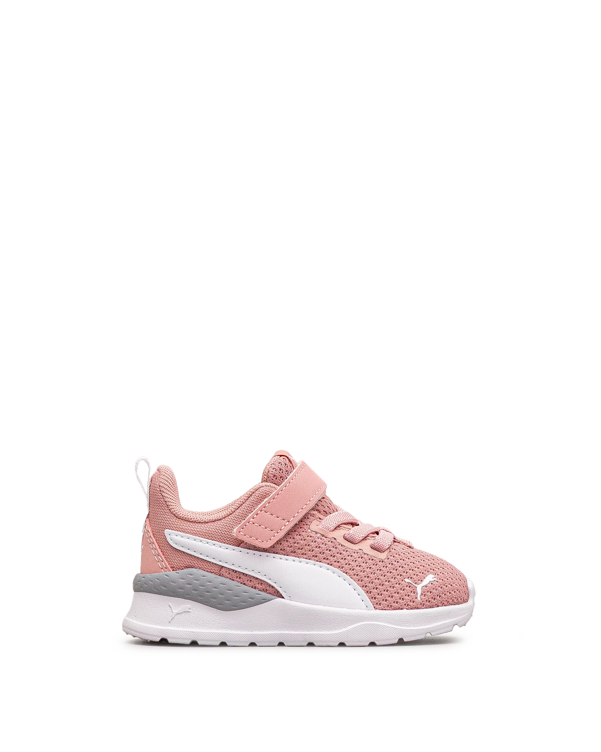 Anzarun lite td - Blanc&rose - #43E-19 - Image 2