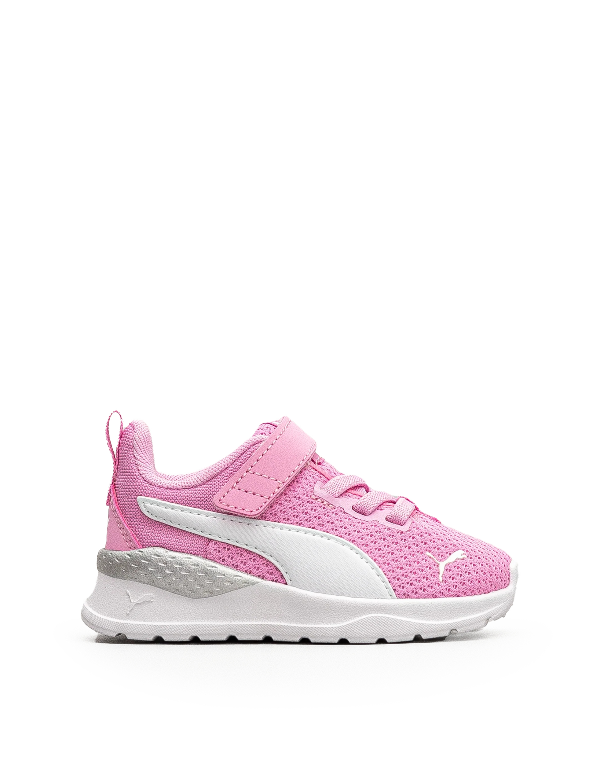 Anzarun lite td - Rose pale - #43E-19 - Image 2