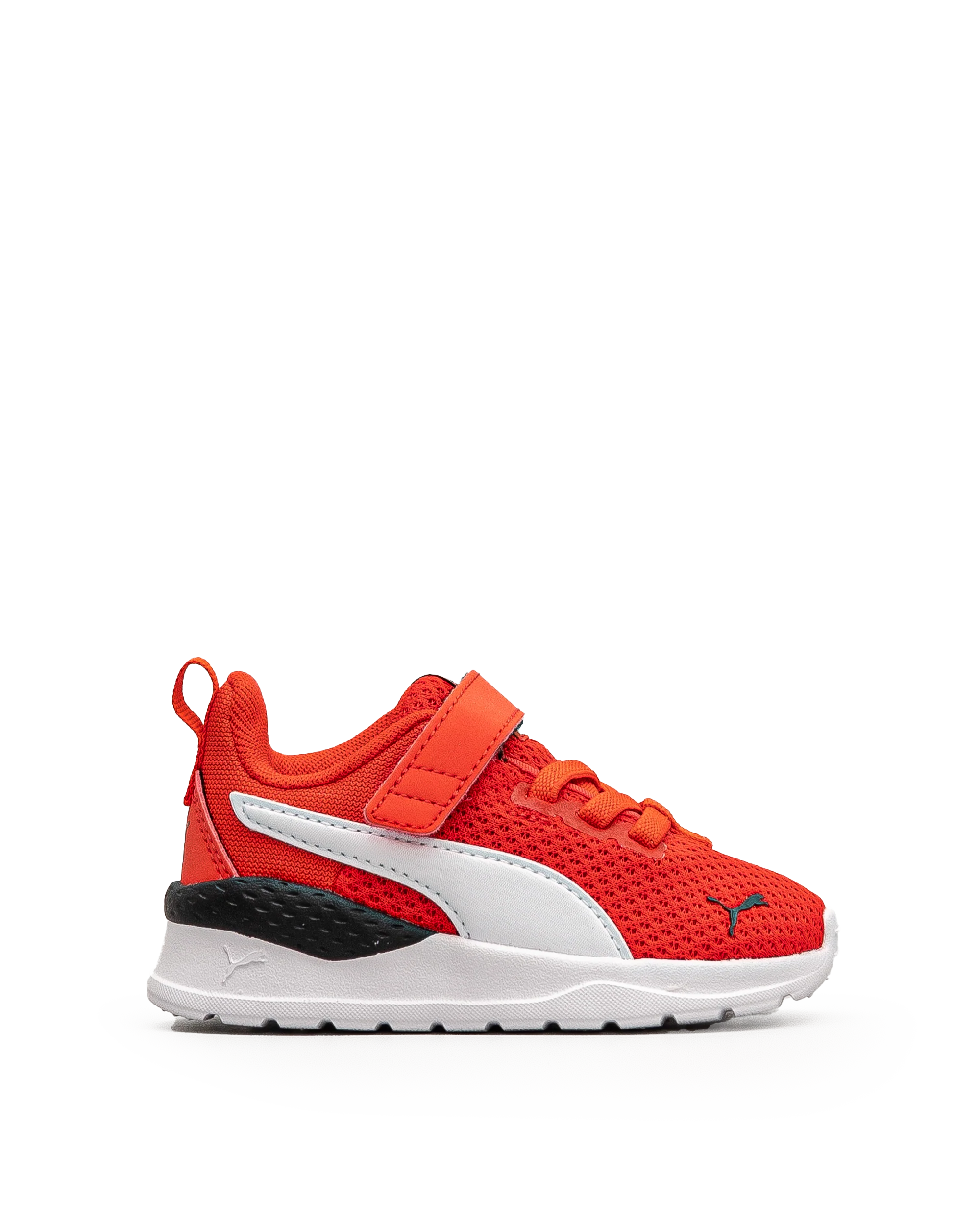 Anzarun lite td - Rouge - #43E-19 - Image 2
