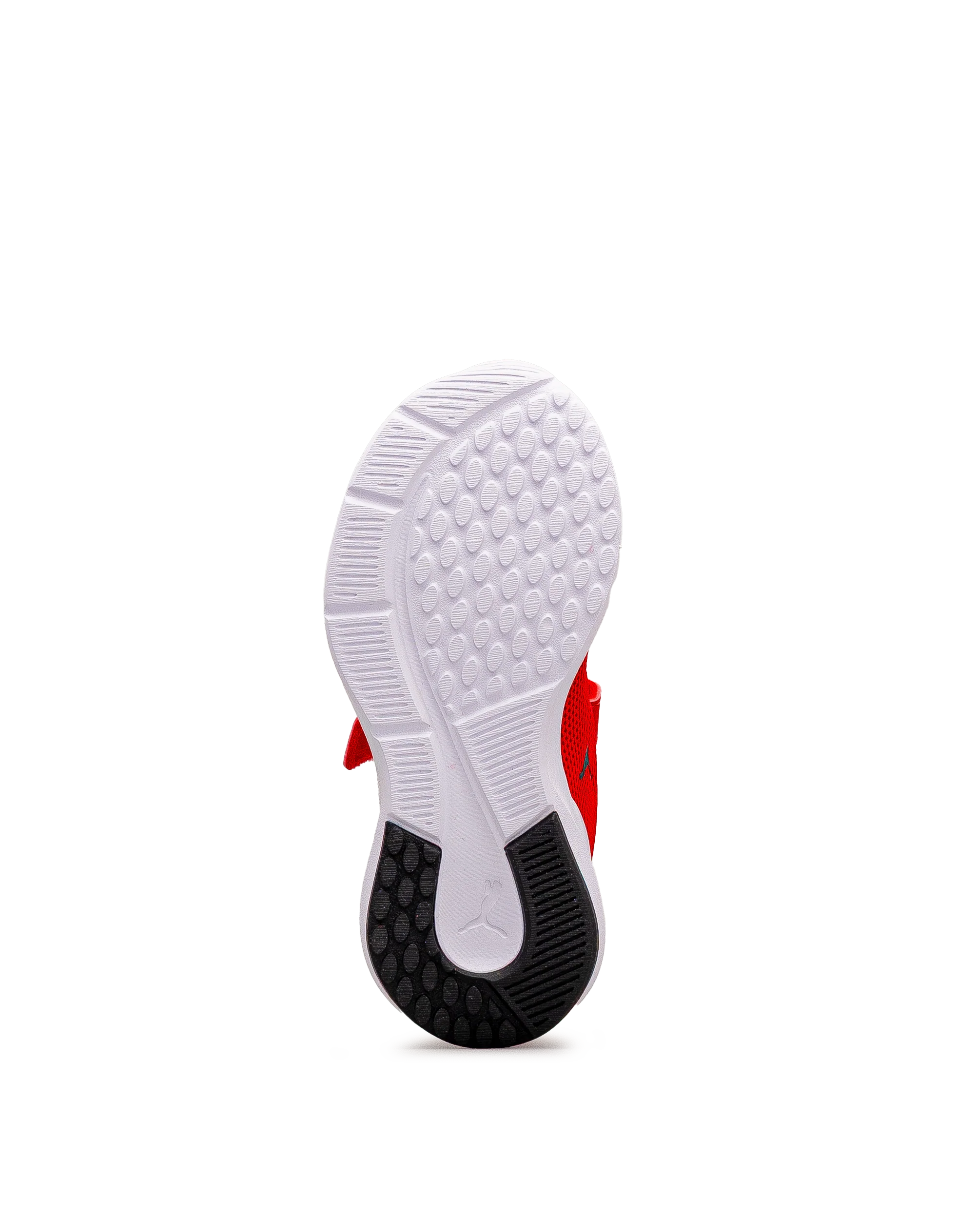 Kruz profoam ps - Rouge - #43E-35 - Image 6