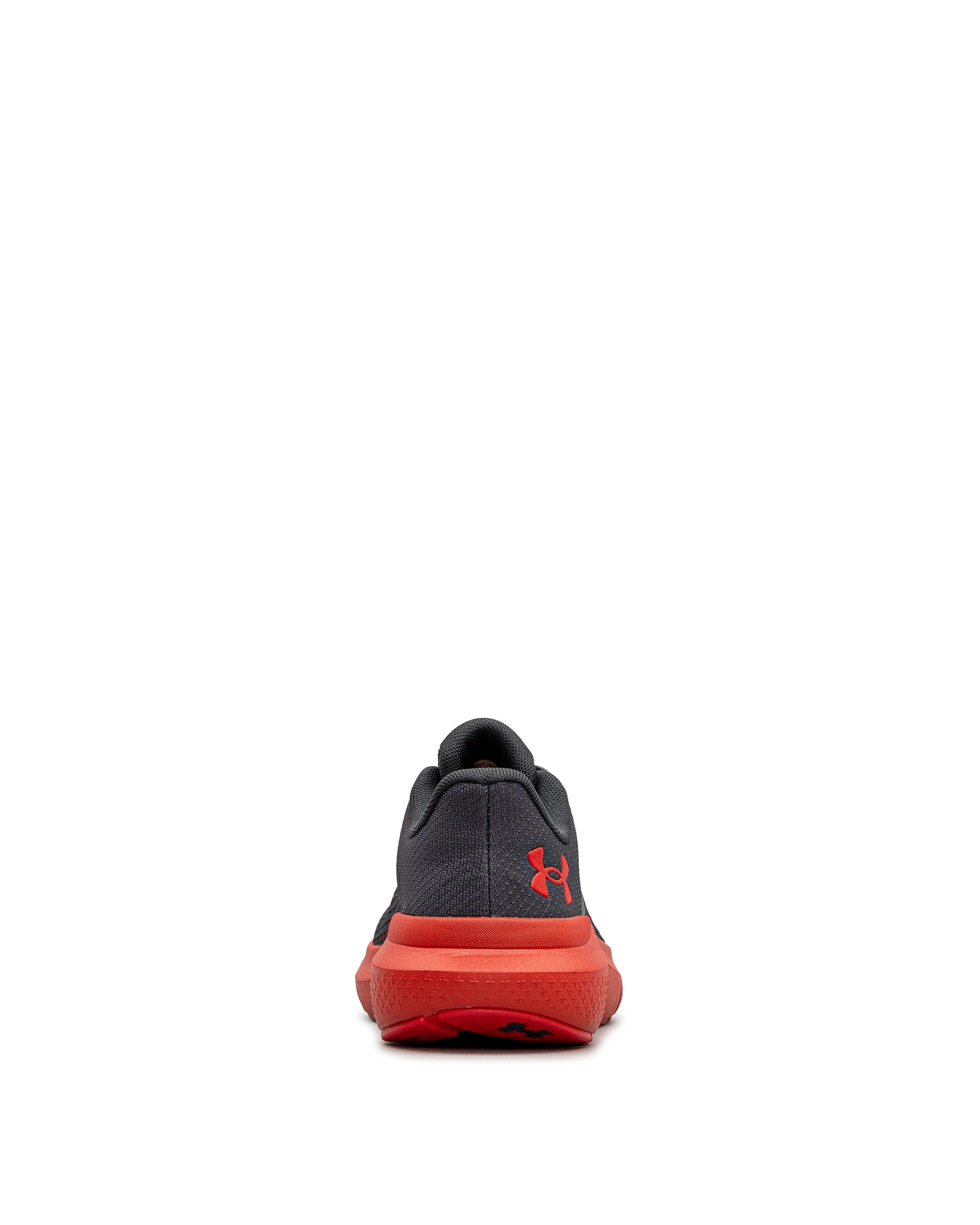 Rogue 5 jr  - Antracite - #43E-86 - Image 4