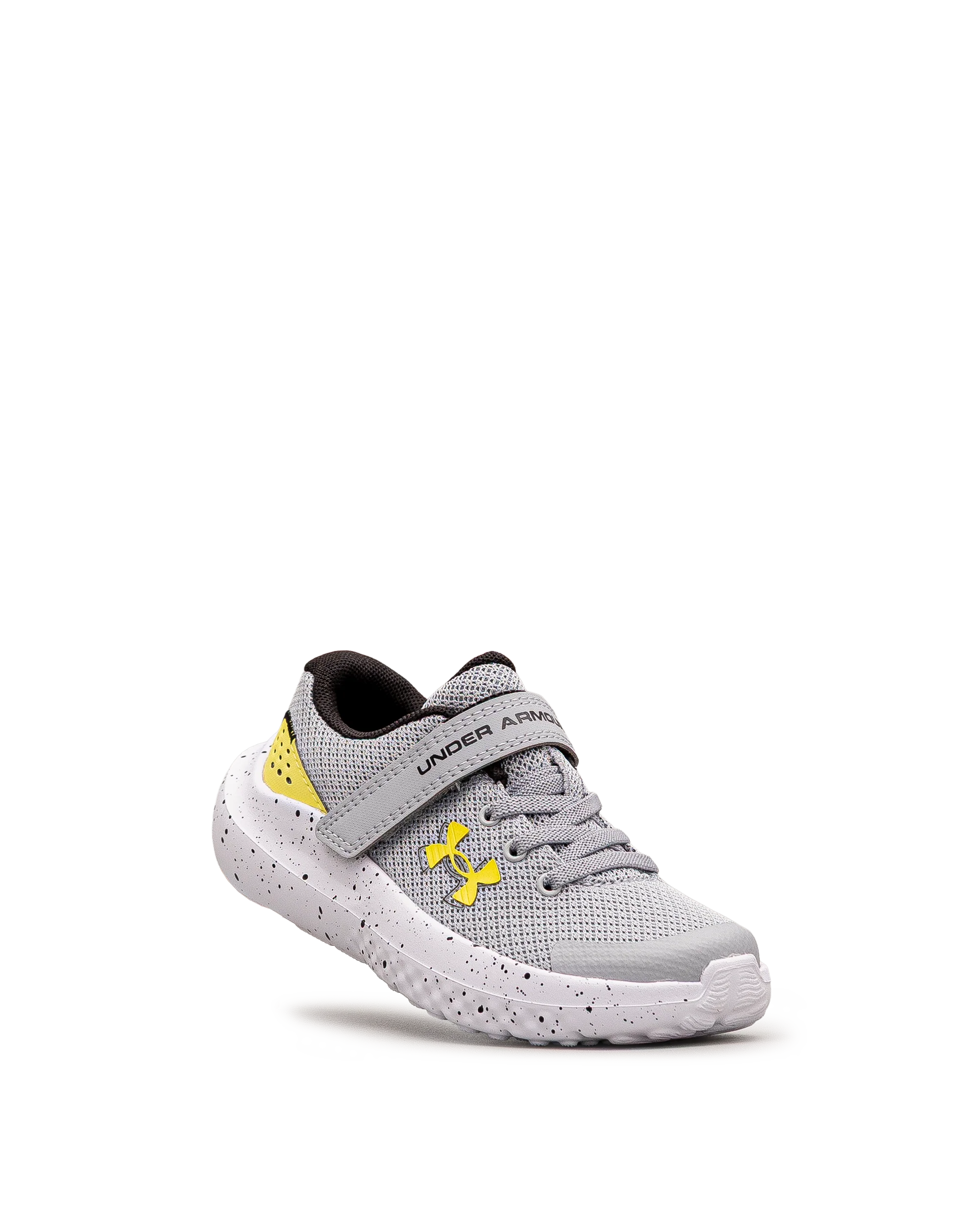 Surge 4ac ps  - Gris - #43E-61