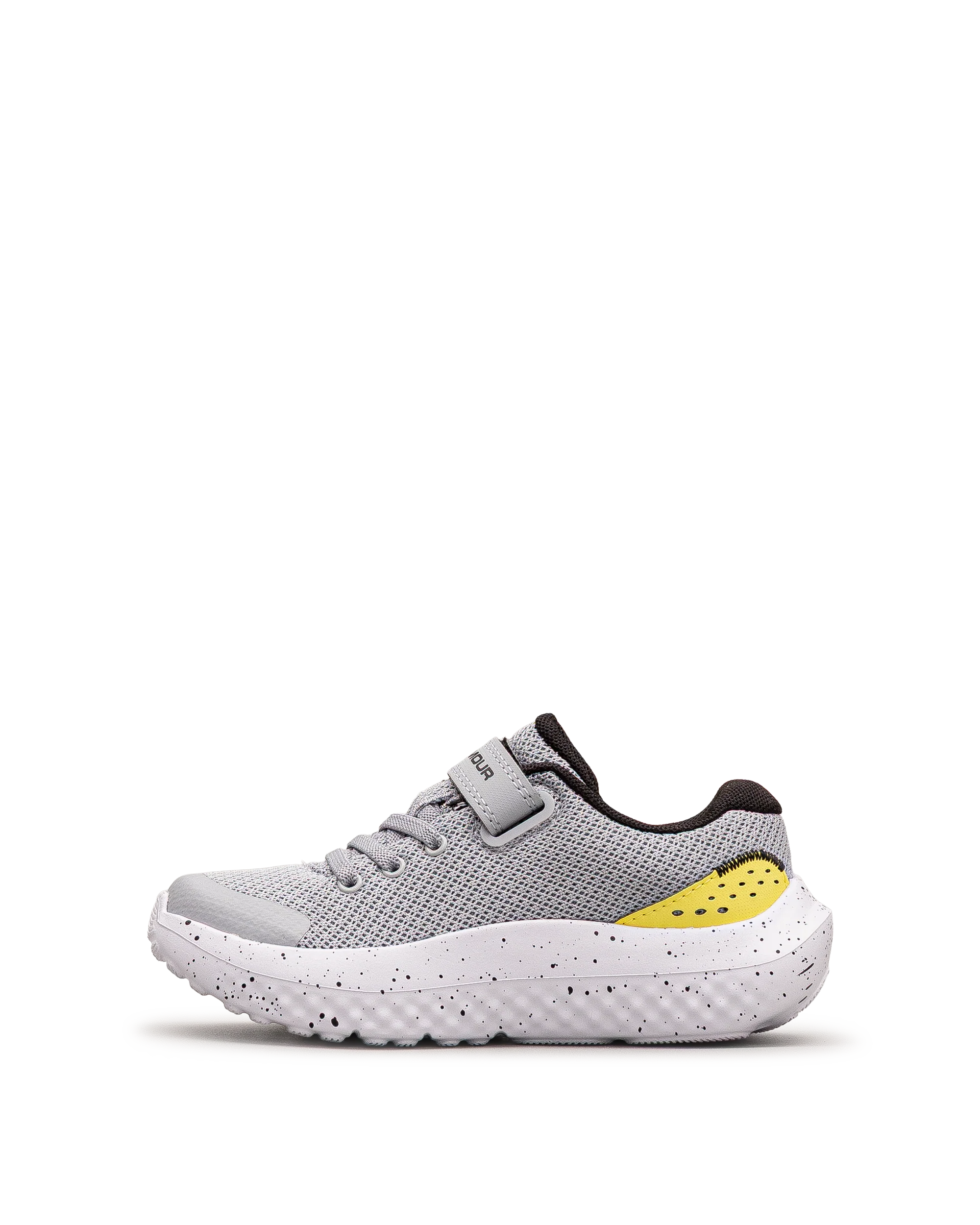Surge 4ac ps  - Gris - #43E-61 - Image 3