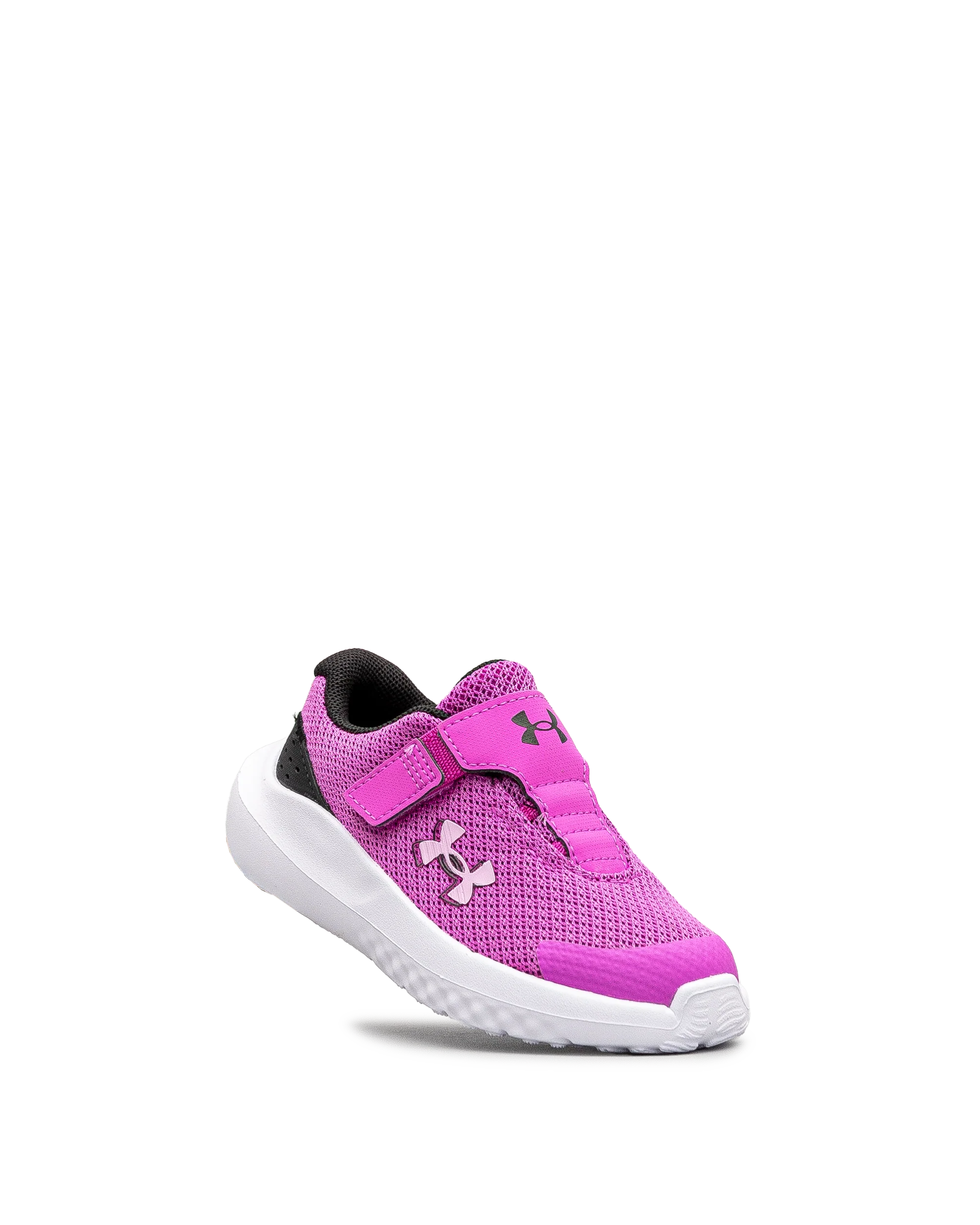 Surge 4ac td - Rose - #43E-60