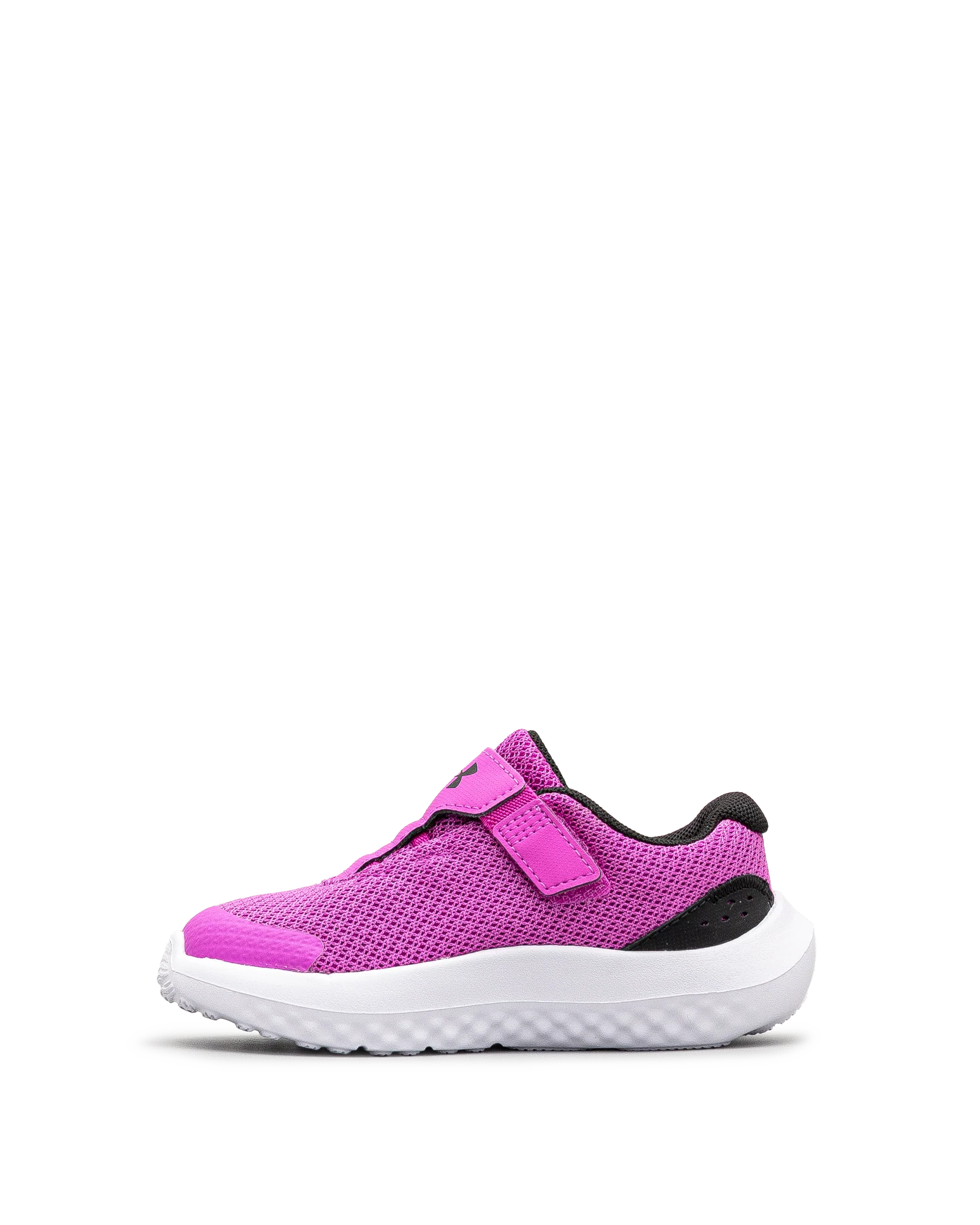 Surge 4ac td - Rose - #43E-60 - Image 3