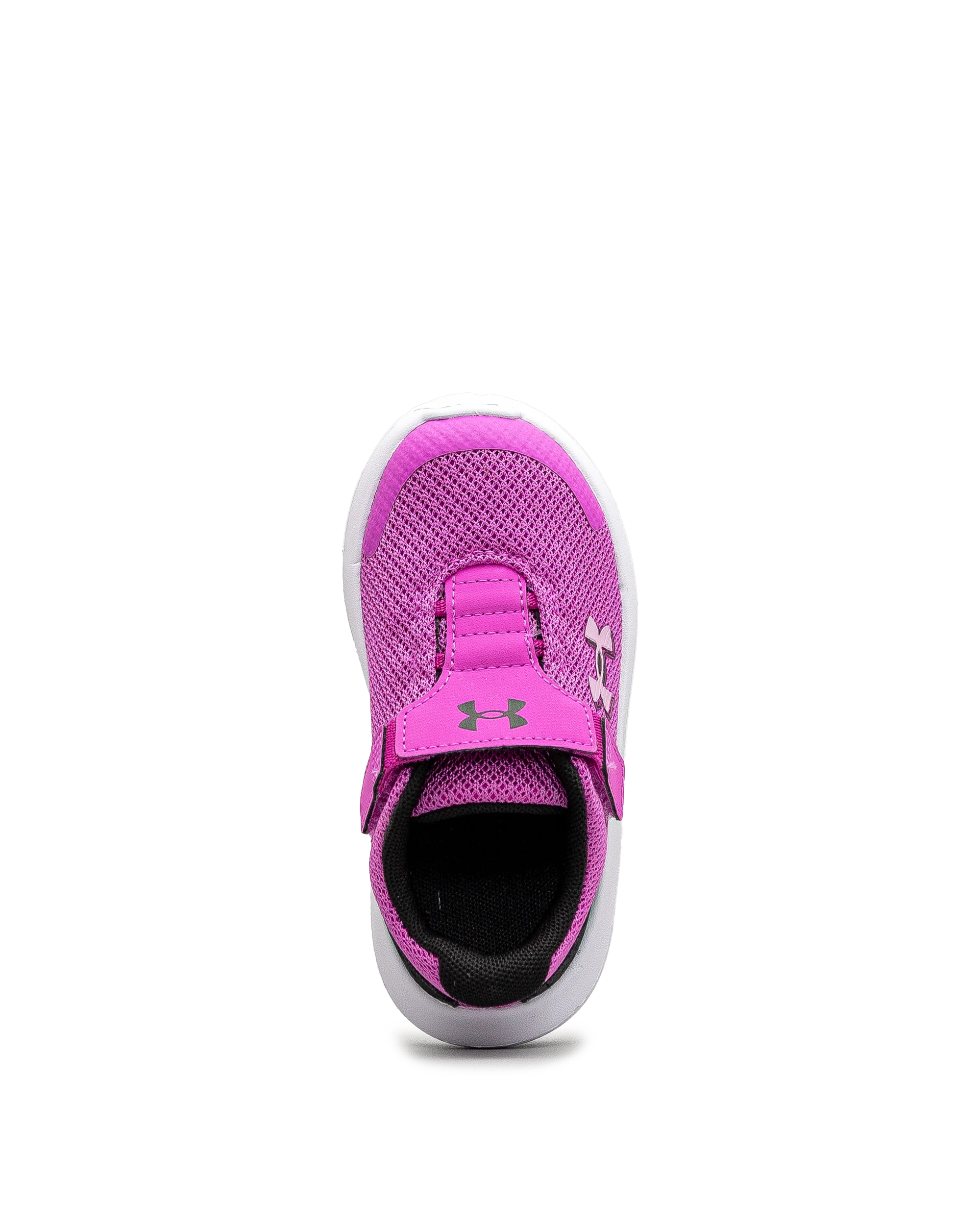Surge 4ac td - Rose - #43E-60 - Image 5