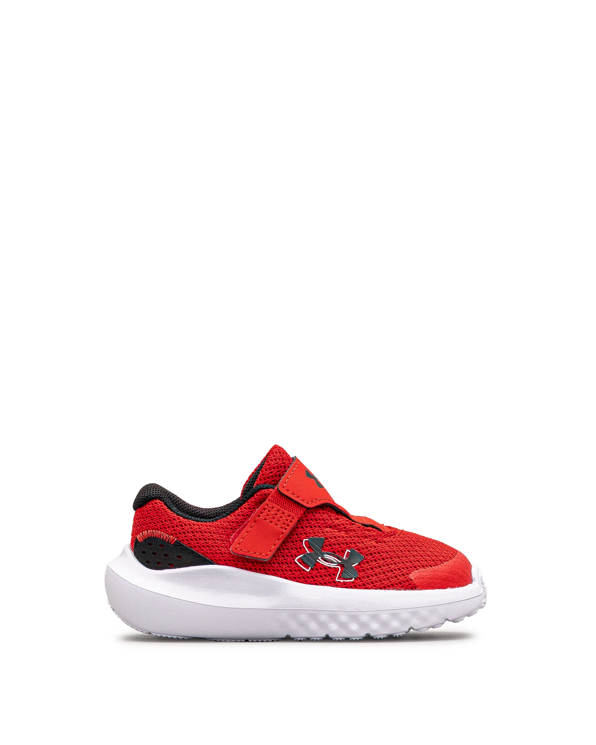 Surge 4ac td  - Rouge - #43E-60 - Image 2