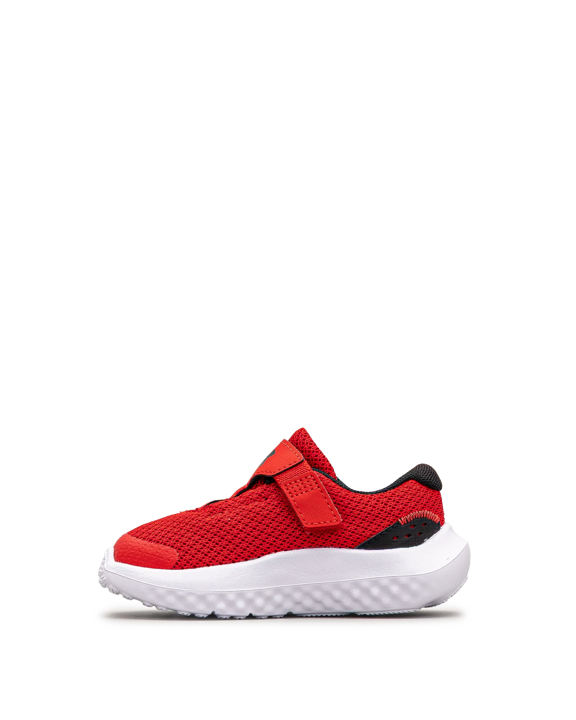 Surge 4ac td  - Rouge - #43E-60 - Image 3